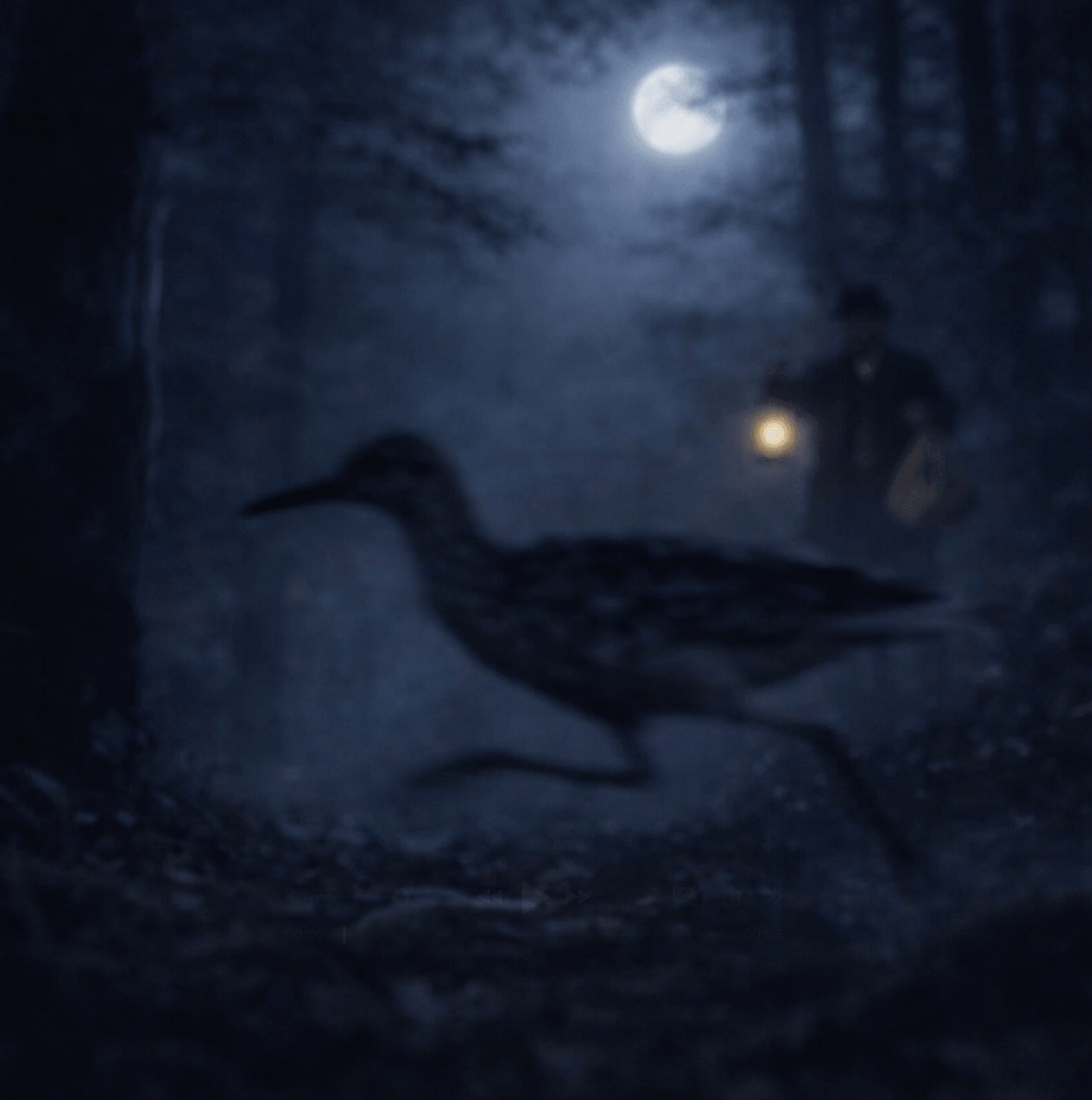 How Snipe Hunting was Invented