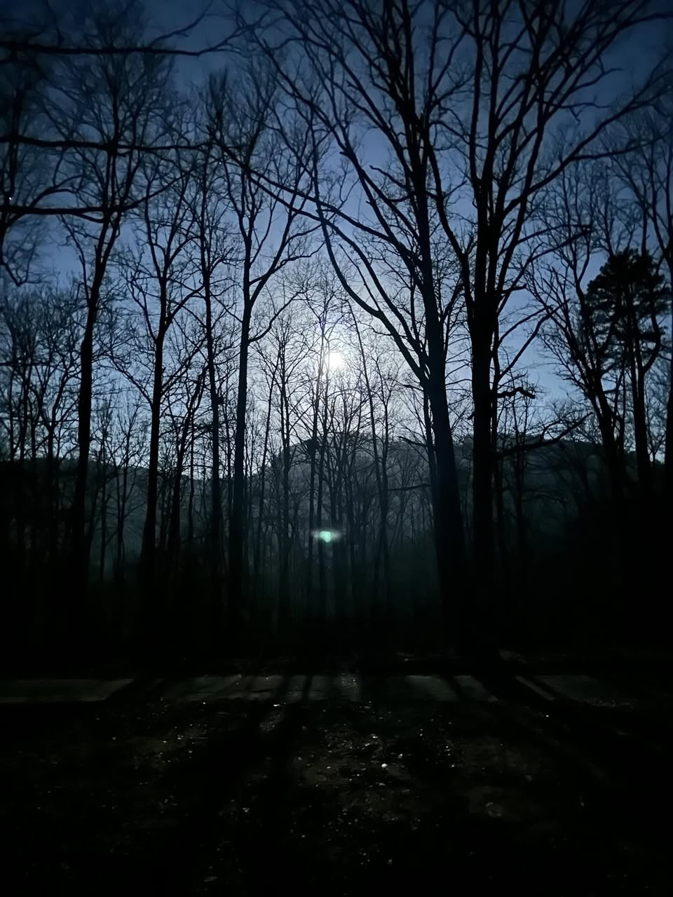 View from the brush arbor in late afternoon