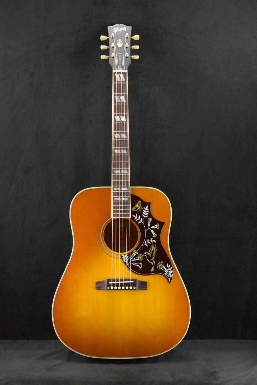 Gibson guitar